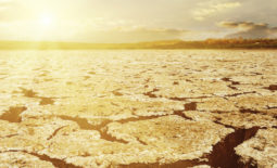 dramatic sunset over drought earth